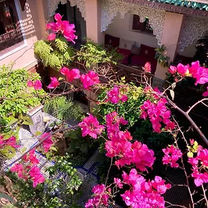 Riad Toyour- Of Birds, Fes